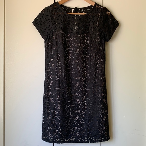 Lace Dress NWOT Loft - Picture 1 of 5
